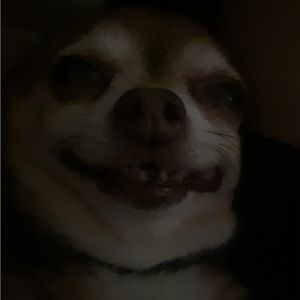 Meet your Posher, Ac3e